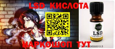 прущие грибы Донецк