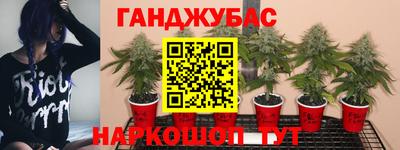 прущие грибы Донецк