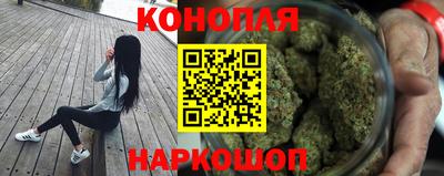 прущие грибы Донецк