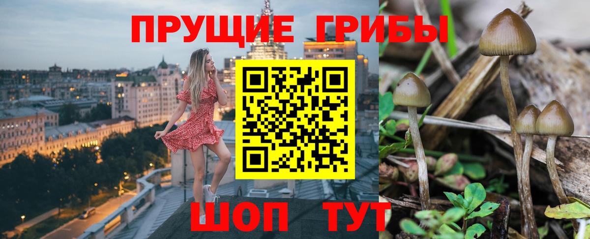 купить закладку  Галлюциногенные грибы ЛСД  Вход с VPN  Москва  Псилоцибиновые грибы Psilocybine cubensis 